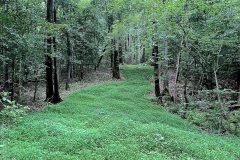 IMG_2904