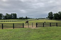 IMG_0943